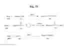 Fig. 35 - MONOMETHYLVALINE COMPOUNDS CAPABLE OF CONJUGATION TO LIGANDS