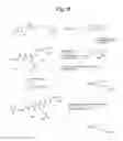 Fig. 37 - MONOMETHYLVALINE COMPOUNDS CAPABLE OF CONJUGATION TO LIGANDS