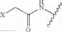 Fig. 43 - MONOMETHYLVALINE COMPOUNDS CAPABLE OF CONJUGATION TO LIGANDS