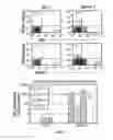 Fig. 11 - MULTIVALENT ENTRAIN-AND-AMPLIFY IMMUNOTHERAPEUTICS FOR CARCINOMA