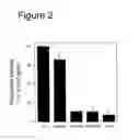 Fig. 03 - Interaction of with epithelial cells, extracellular matrix proteins and the complement system