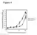 Fig. 05 - Interaction of with epithelial cells, extracellular matrix proteins and the complement system