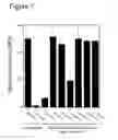 Fig. 08 - Interaction of with epithelial cells, extracellular matrix proteins and the complement system