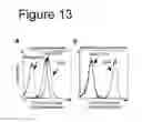 Fig. 14 - Interaction of with epithelial cells, extracellular matrix proteins and the complement system