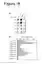 Fig. 17 - Interaction of with epithelial cells, extracellular matrix proteins and the complement system