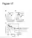 Fig. 18 - Interaction of with epithelial cells, extracellular matrix proteins and the complement system