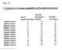 Fig. 34 - Interaction of with epithelial cells, extracellular matrix proteins and the complement system