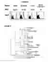 Fig. 06 - MULTIPLE VARIANTS OF MENINGOCOCCAL PROTEIN NMB1870