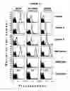 Fig. 08 - MULTIPLE VARIANTS OF MENINGOCOCCAL PROTEIN NMB1870