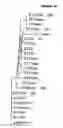 Fig. 09 - MULTIPLE VARIANTS OF MENINGOCOCCAL PROTEIN NMB1870
