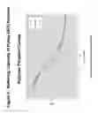 Fig. 04 - PEGYLATED POLYPLEXES FOR POLYNUCLEOTIDE DELIVERY