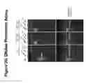 Fig. 27 - PEGYLATED POLYPLEXES FOR POLYNUCLEOTIDE DELIVERY