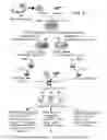 Fig. 03 - Methods for complex tissue engineering