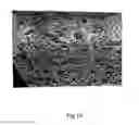 Fig. 12 - Microparticles and method of making microparticles