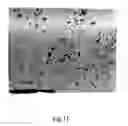 Fig. 14 - Microparticles and method of making microparticles