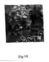 Fig. 17 - Microparticles and method of making microparticles