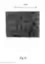 Fig. 20 - Microparticles and method of making microparticles