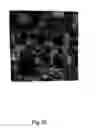 Fig. 31 - Microparticles and method of making microparticles
