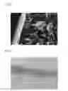Fig. 03 - Substrate for feeding cells and/or tissues, cell/tissue-feeder and method for the production of the same, method for the regeneration of tissues, and method for the production of porous bodies