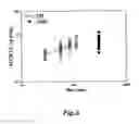 Fig. 03 - Methods of treatment of endobronchial infections