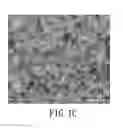 Fig. 03 - TOOTH BLEACHING CATALYTIC AND APPLICATION THEREOF