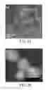 Fig. 05 - TOOTH BLEACHING CATALYTIC AND APPLICATION THEREOF