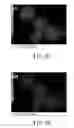 Fig. 06 - TOOTH BLEACHING CATALYTIC AND APPLICATION THEREOF