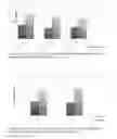 Fig. 04 - Encapsulated Active Materials