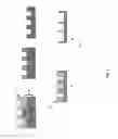 Fig. 04 - METHOD AND SYSTEM FOR A PHOTORESIST-BASED IMMUNOISOLATIVE MICROCONTAINER WITH NANOSLOTS DEFINED BY NANOIMPRINT LITHOGRAPHY
