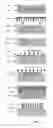 Fig. 06 - METHOD AND SYSTEM FOR A PHOTORESIST-BASED IMMUNOISOLATIVE MICROCONTAINER WITH NANOSLOTS DEFINED BY NANOIMPRINT LITHOGRAPHY
