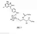 Fig. 02 - Conjugates of synthetic TLR agonists and uses therefor