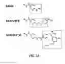 Fig. 04 - Conjugates of synthetic TLR agonists and uses therefor