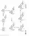 Fig. 05 - Conjugates of synthetic TLR agonists and uses therefor