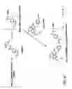 Fig. 06 - Conjugates of synthetic TLR agonists and uses therefor