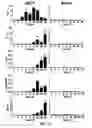 Fig. 16 - Conjugates of synthetic TLR agonists and uses therefor