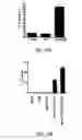 Fig. 24 - Conjugates of synthetic TLR agonists and uses therefor