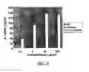 Fig. 25 - Conjugates of synthetic TLR agonists and uses therefor