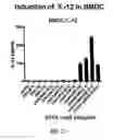 Fig. 27 - Conjugates of synthetic TLR agonists and uses therefor