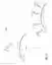 Fig. 31 - Conjugates of synthetic TLR agonists and uses therefor
