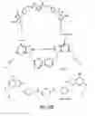 Fig. 35 - Conjugates of synthetic TLR agonists and uses therefor