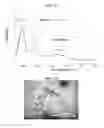 Fig. 09 - SENSITIVE POLYMER CAPSULE AND METHOD OF MANUFACTURING THE SAME