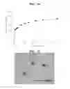 Fig. 11 - SENSITIVE POLYMER CAPSULE AND METHOD OF MANUFACTURING THE SAME