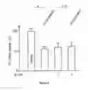 Fig. 03 - Peptides that down regulate the activity of plasma membrane transporters including sodium-D-glucose cotransporter SGLT1