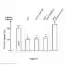 Fig. 13 - Peptides that down regulate the activity of plasma membrane transporters including sodium-D-glucose cotransporter SGLT1