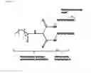 Fig. 02 - Self-assembling hydrogels based on dicephalic peptide amphiphiles
