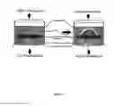 Fig. 09 - Artificial cell constructs for cellular manipulation
