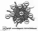 Fig. 01 - CONTROLLED RELEASE PARTICLES CONTAINING ACID FIBROBLAST GROWTH FACTOR