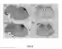 Fig. 07 - CONTROLLED RELEASE PARTICLES CONTAINING ACID FIBROBLAST GROWTH FACTOR