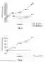Fig. 04 - Eye cream and preparation method