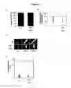 Fig. 06 - PREVENTION OF THROMBUS FORMATION AND/OR STABILIZATION